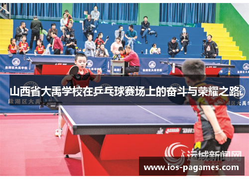 山西省大禹学校在乒乓球赛场上的奋斗与荣耀之路 山西省大禹学校在乒乓球赛场上的奋斗与荣耀之路