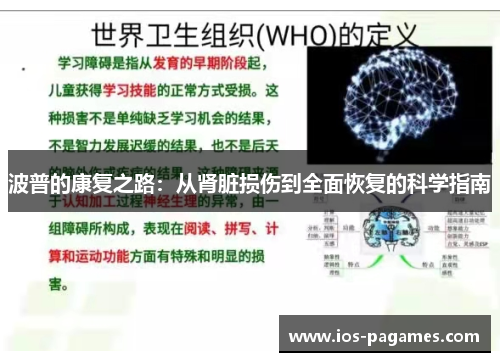 波普的康复之路:从肾脏损伤到全面恢复的科学指南 波普的康复之路:从肾脏损伤到全面恢复的科学指南