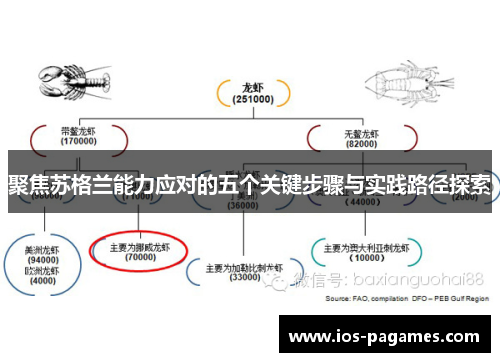 聚焦苏格兰能力应对的五个关键步骤与实践路径探索 聚焦苏格兰能力应对的五个关键步骤与实践路径探索