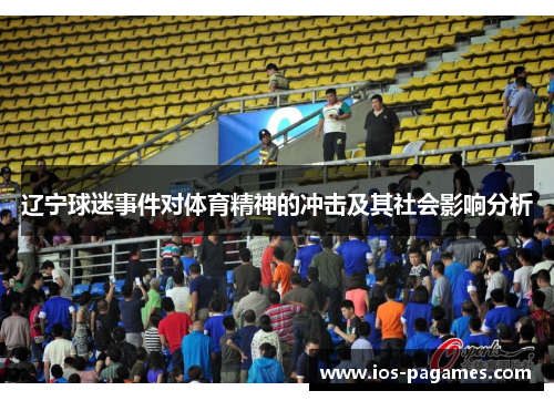 辽宁球迷事件对体育精神的冲击及其社会影响分析 辽宁球迷事件对体育精神的冲击及其社会影响分析