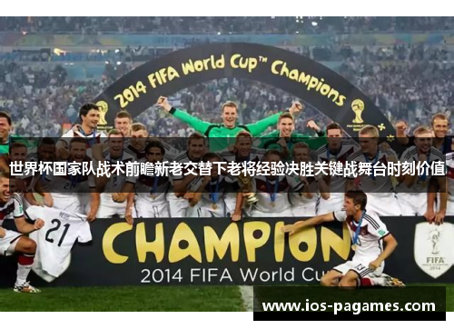 世界杯国家队战术前瞻新老交替下老将经验决胜关键战舞台时刻价值 世界杯国家队战术前瞻新老交替下老将经验决胜关键战舞台时刻价值